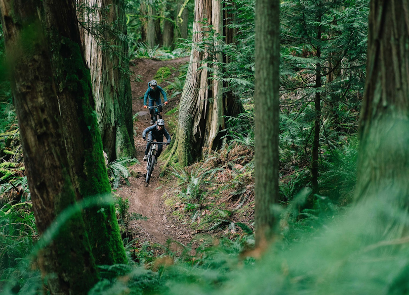 Hood River Mountain Bike Adventures image 1