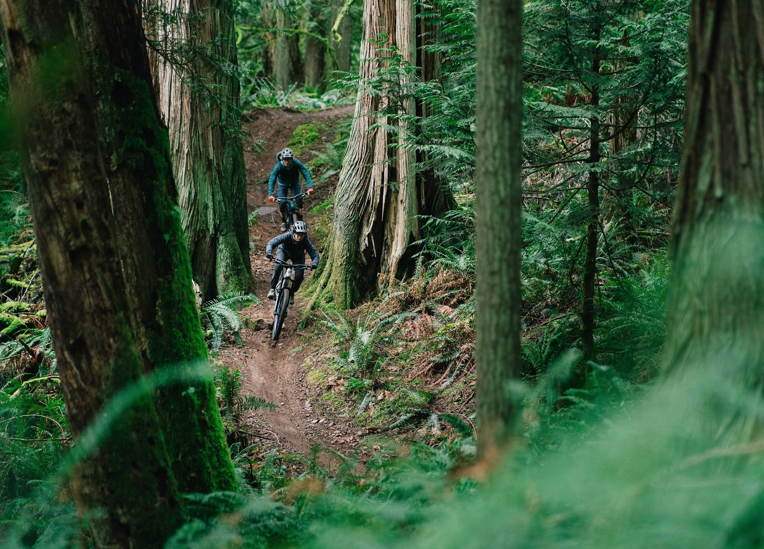 Hood River Mountain Bike Adventures, photo
