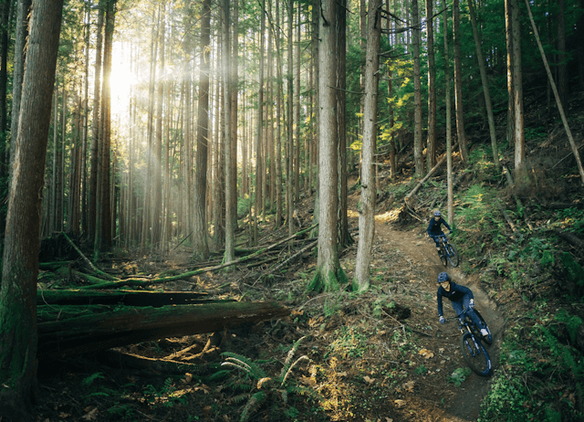Hood River Mountain Bike Adventures image 2