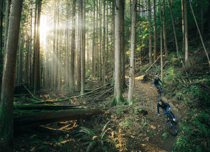 Hood River Mountain Bike Adventures image 2