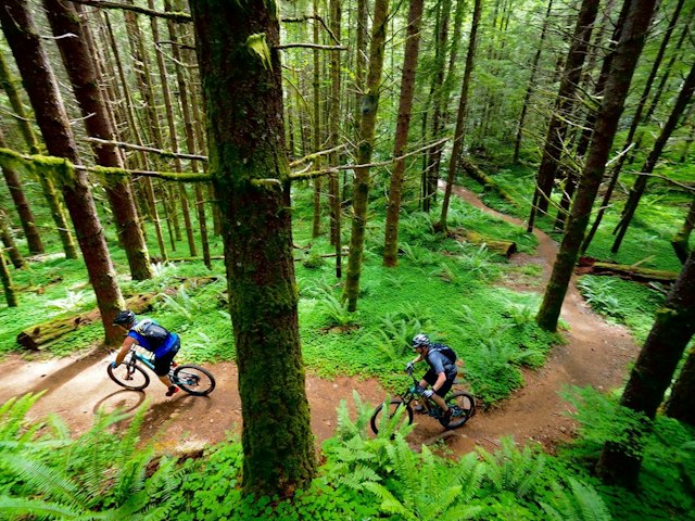 Hood River Mountain Bike Adventures image 7