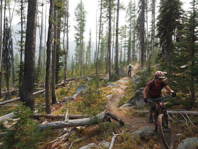 Hood River Mountain Bike Adventures image 8