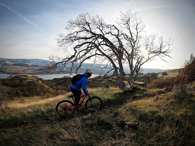 Hood River Mountain Bike Adventures image 9