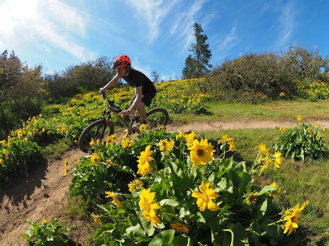 Hood River Mountain Bike Adventures image 11