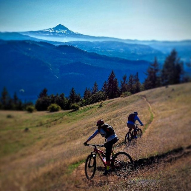 Hood River Mountain Bike Adventures image 18