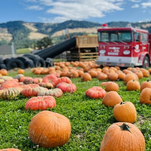 Packer Orchards image 1