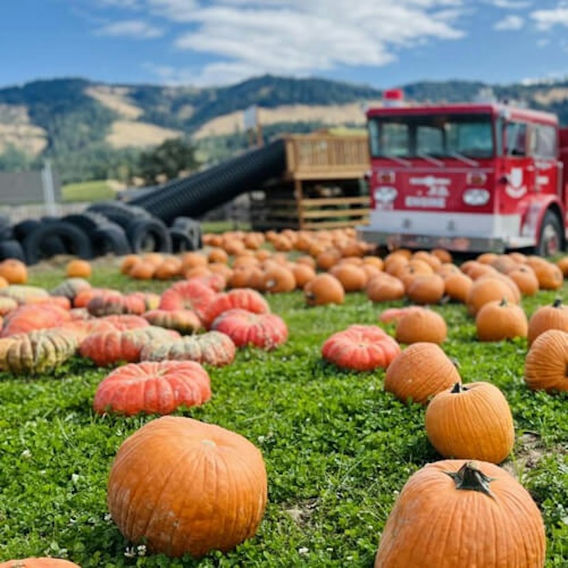 Packer Orchards image 1