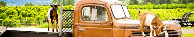 Packer Orchards image 4