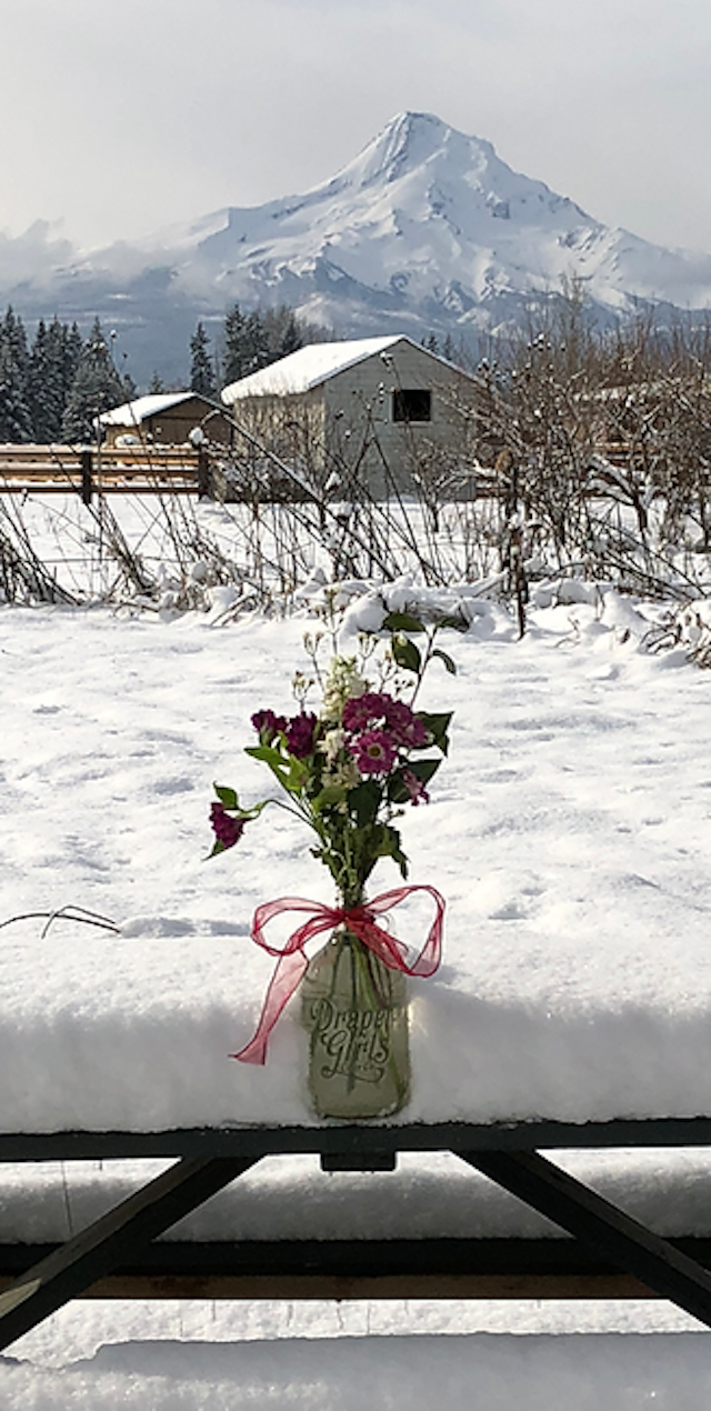 Draper Girls Country Farm image 14