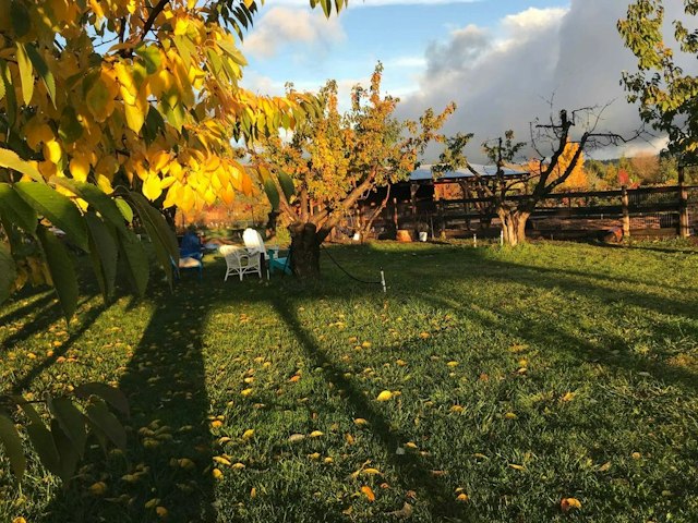 Hood River U-Pick Organic image 7