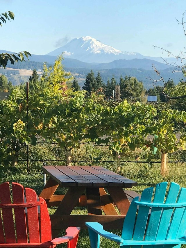 Hood River U-Pick Organic image 12