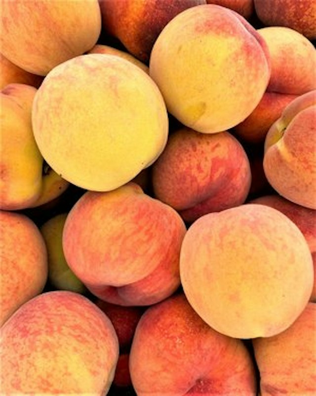 Kiyokawa Family Orchards image 3