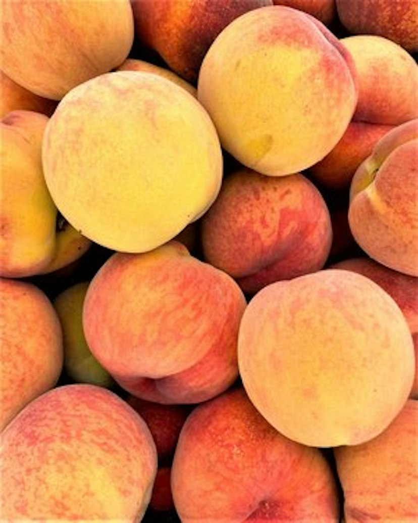 Kiyokawa Family Orchards image 3