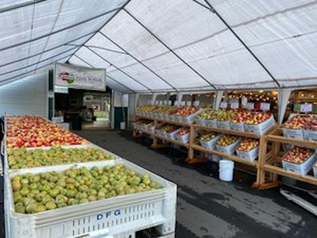 Kiyokawa Family Orchards image 12