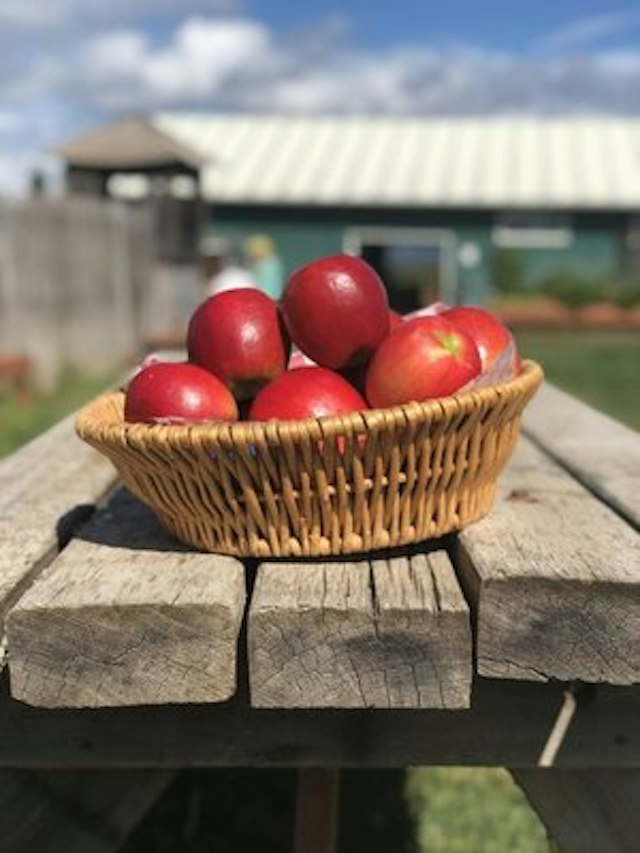 Kiyokawa Family Orchards image 14