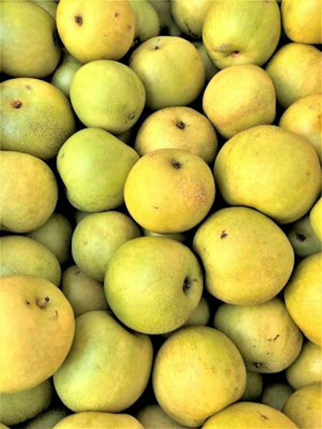 Kiyokawa Family Orchards image 15