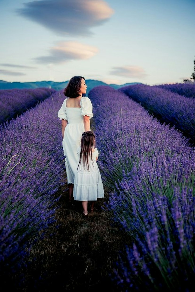 Hope Ranch Lavender image 1