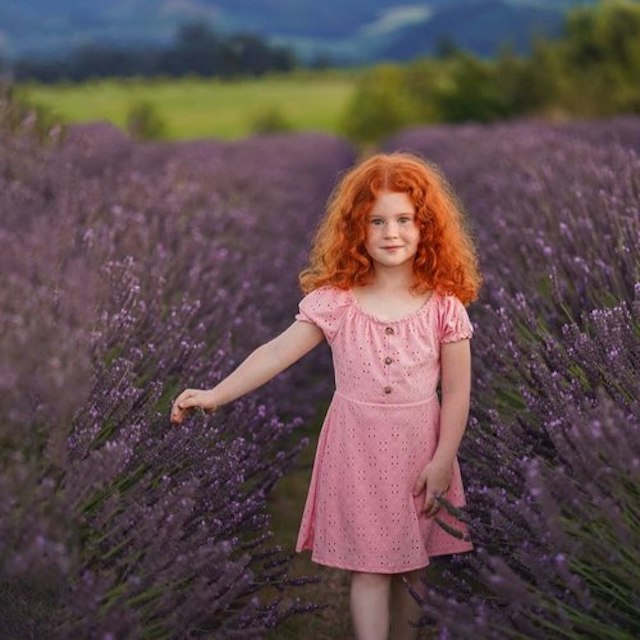 Hope Ranch Lavender image 5