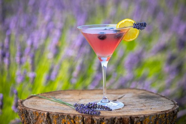 Hope Ranch Lavender image 11