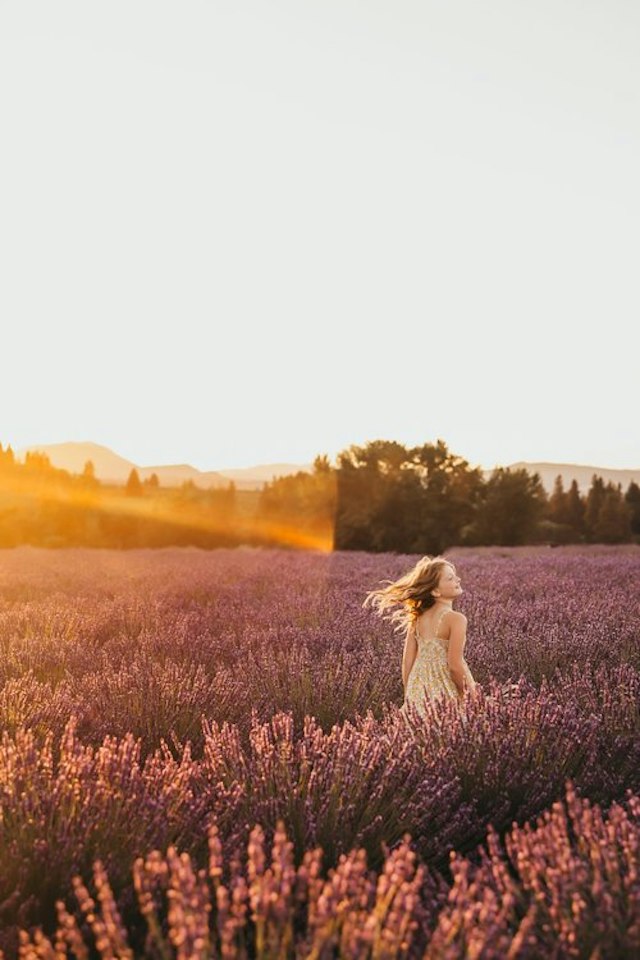 Hope Ranch Lavender image 16