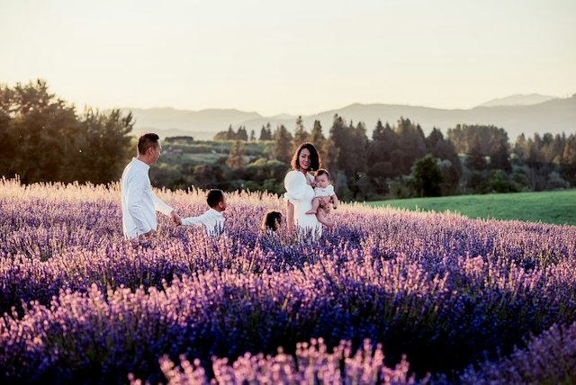 Hope Ranch Lavender image 21