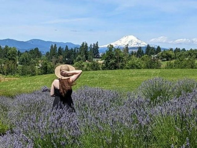Hope Ranch Lavender image 24