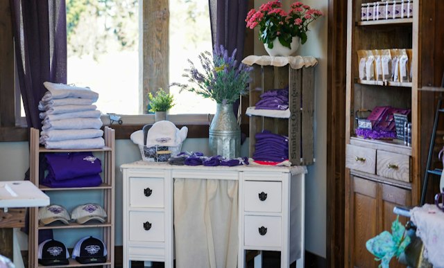 Hood River Lavender image 8