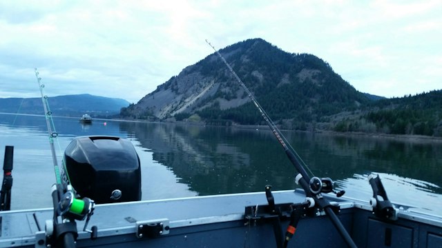 Always Catchin’ Fishing Charters image 15