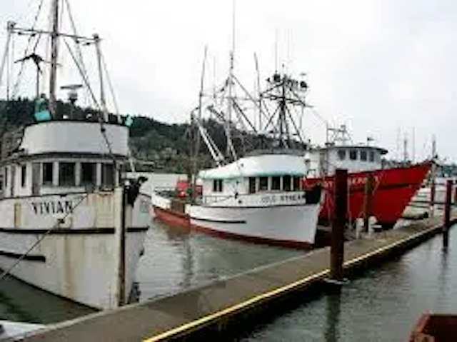 Always Catchin’ Fishing Charters image 16