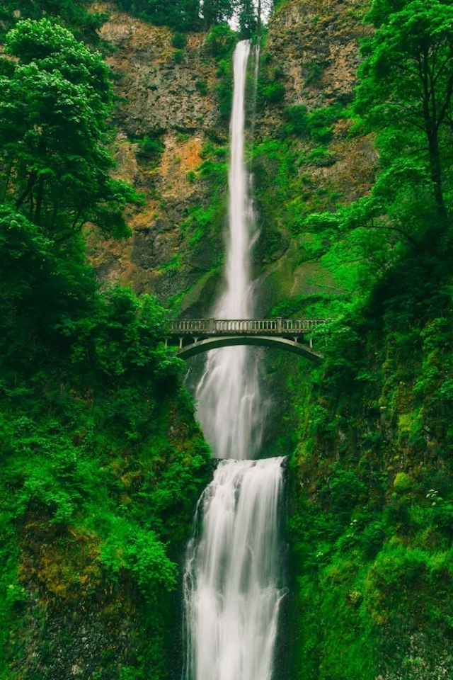Martin’s Gorge Tours image 3
