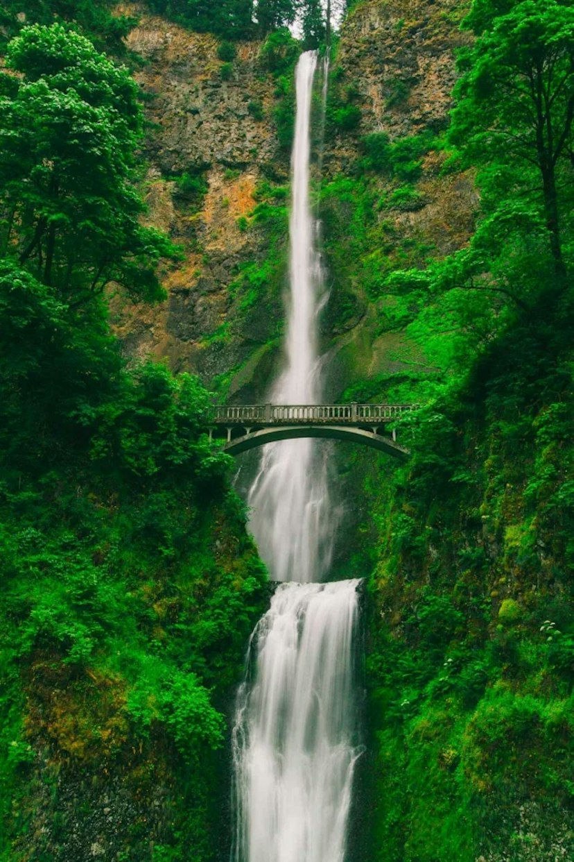 Martin’s Gorge Tours image 3