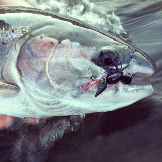 Fish the Swing image 7