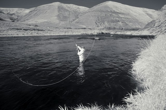 Fish the Swing image 16