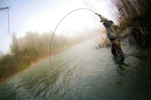 Fish the Swing image 20