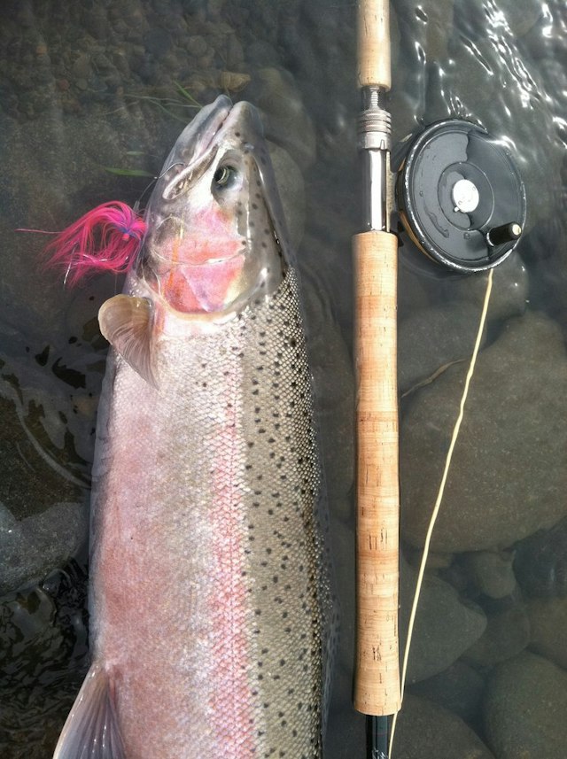 Fish the Swing image 23