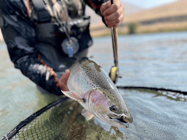 Steelhead Outfitters image 3