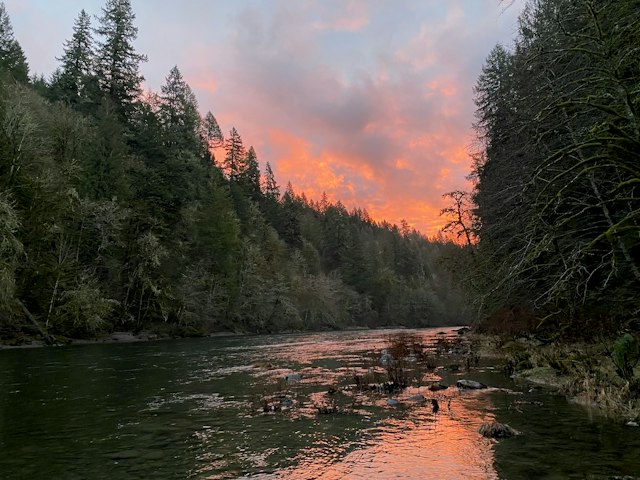 Steelhead Outfitters image 5