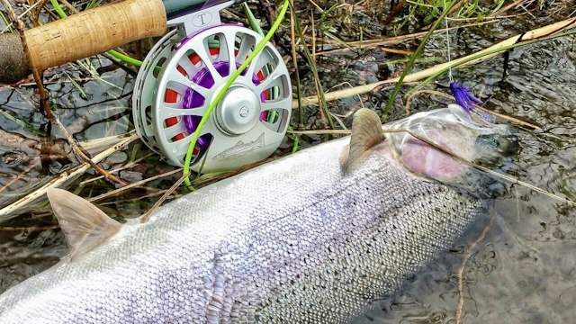 Steelhead Outfitters image 9