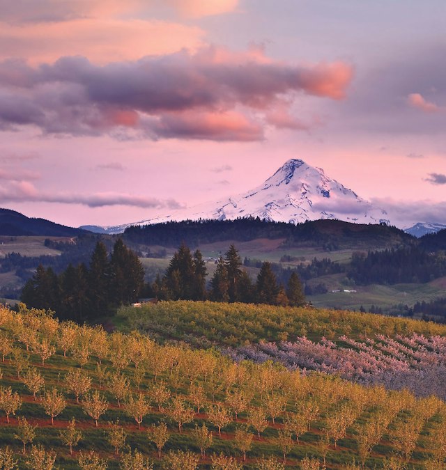 Hood River Fruit Loop image 1