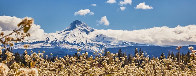 Hood River Fruit Loop image 4