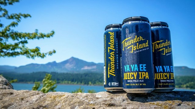 Thunder Island Brewing Co image 13