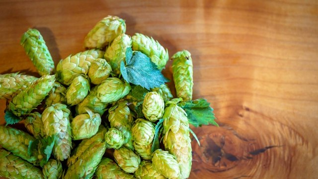 Thunder Island Brewing Co image 18