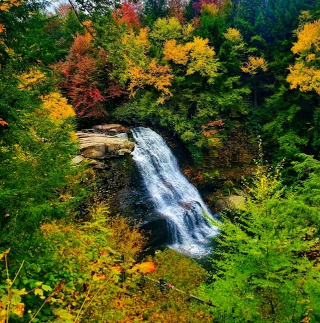 Hiking in Swallow Falls State Park image 6