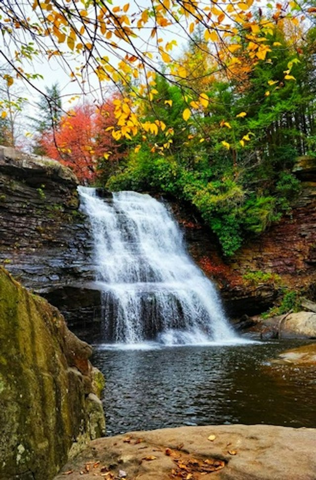 Hiking in Swallow Falls State Park image 2