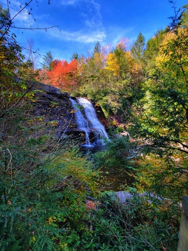 Hiking in Swallow Falls State Park image 10