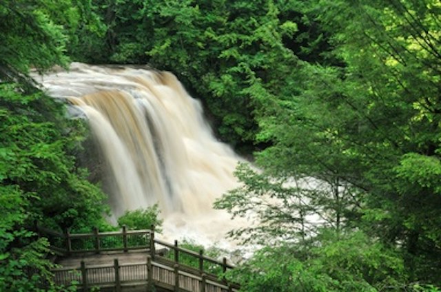 Hiking in Swallow Falls State Park image 5