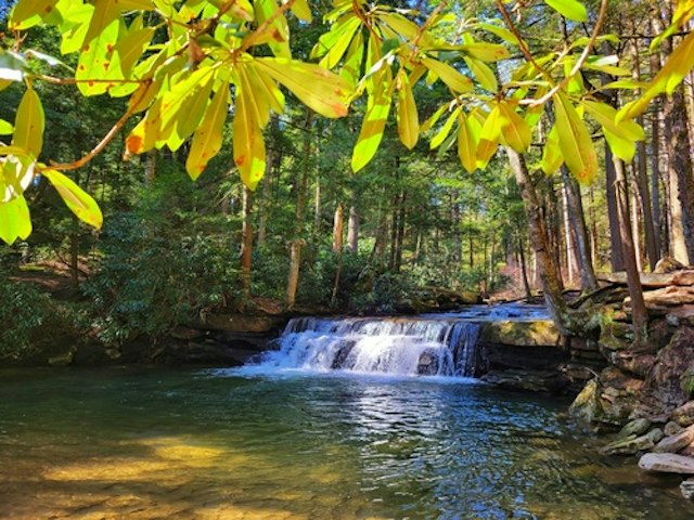 Hiking in Swallow Falls State Park image 7