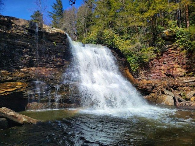 Hiking in Swallow Falls State Park image 9