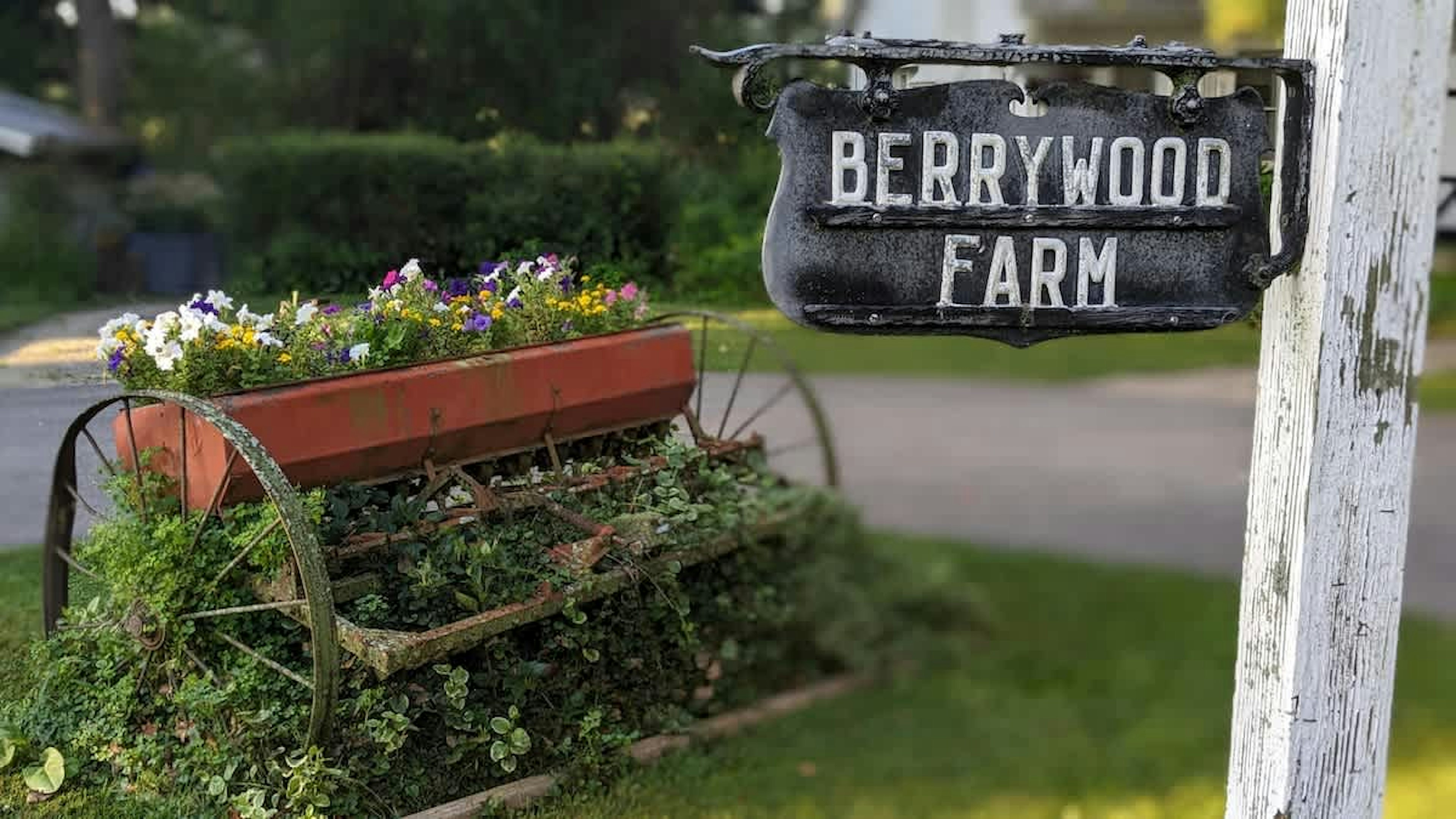 Snap a photo by Berrywood Farm’s vintage flower cart and charming sign.