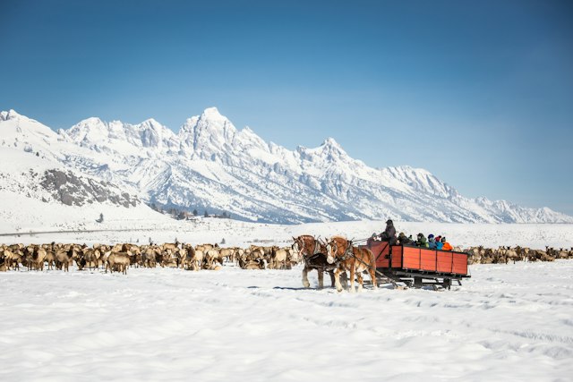 Jackson Hole Mountain Resort - Winter Ski/Snowboard image 4
